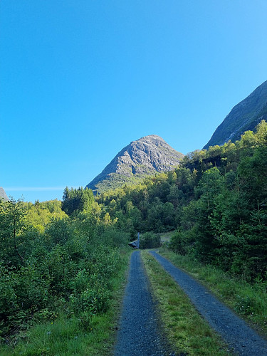 På veg opp Veitebergsdalen. Sollinova midt i mot
