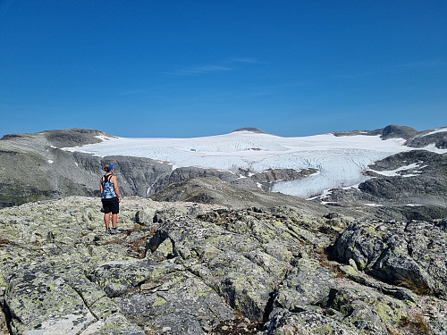 Utsikt frå toppen. Tett på Snønipa og Myklebustbreen
