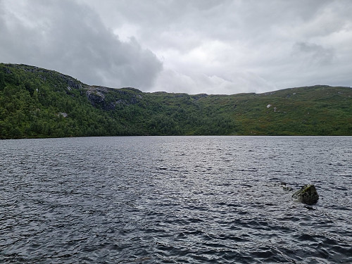 Skarsvatnet