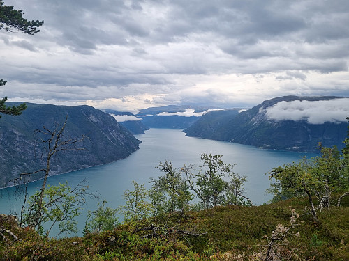 Utsikt mot Årdalsfjorden