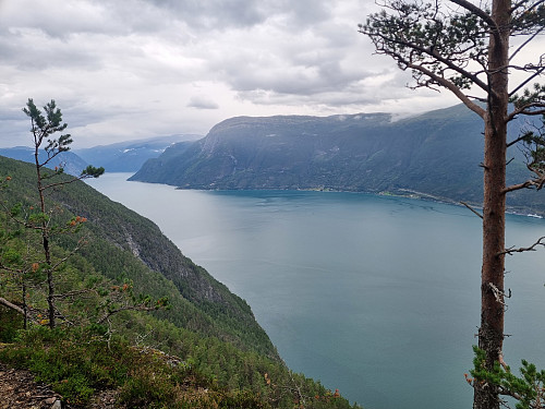 Flott utsikt 