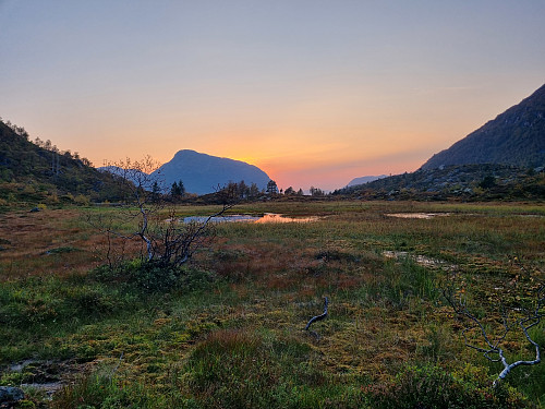 Drøsinga bak der. 