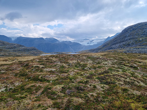 Utsikt mot Myklebustbreen frå Strandaheia