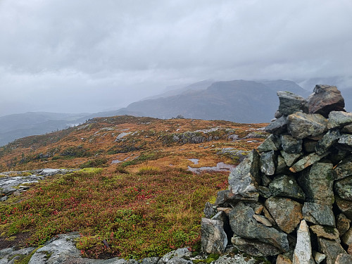 Høgenipa