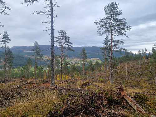 Ikkje akkurat strålande utsikt frå Hasleggi