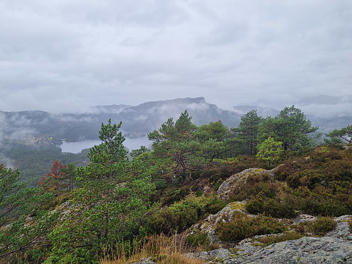 Utsikt frå Kletten ved Kalsvika
