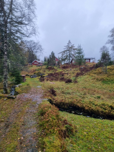 Nede ved Grønevika