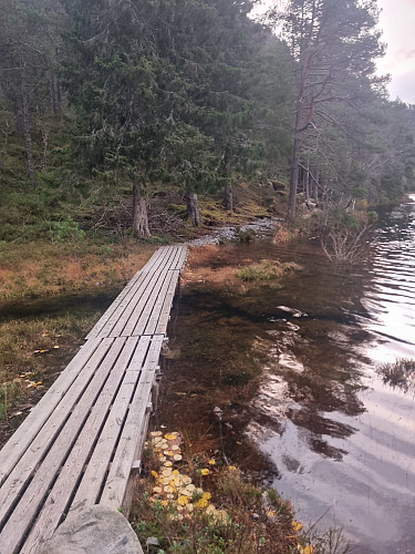 Godt det er laga til ei ekstra lang bru på dagar som dette. 