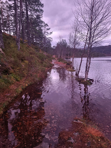 Vel... litt meir vatn i stien enn det vi er vane med. Godt det var mogleg å gå oppafor stien. 