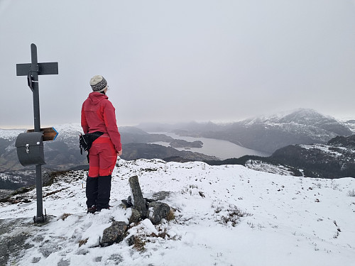 Utsikt frå Høgefjellet