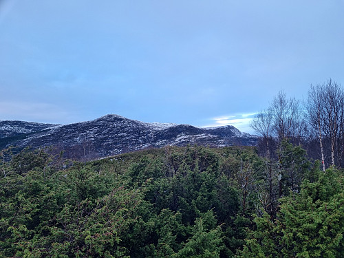 Utsikt frå Grøneholten