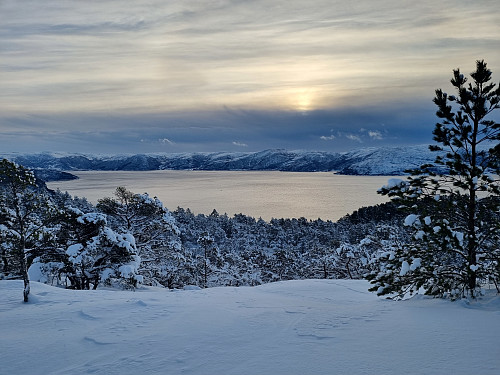 Utsikt mot Sognefjorden