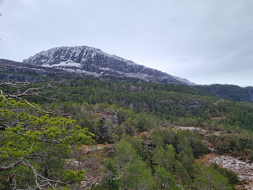 Mot Blåfjell sett frå Frishatten
