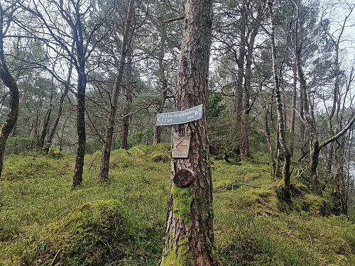 Godt skilta og merka turruter på Svanøy 
