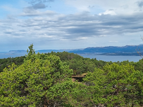 Utsikt frå toppen av Vågsfjellet