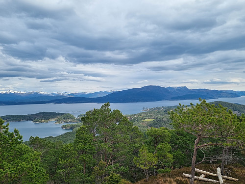 Utsikt frå utsiktpunktet på Vågsfjellet
