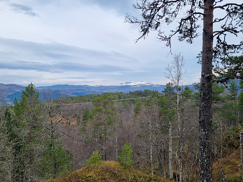 Utsikt frå Sletteholten