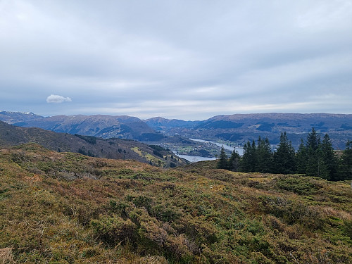 Utsikt frå Erstafjellet