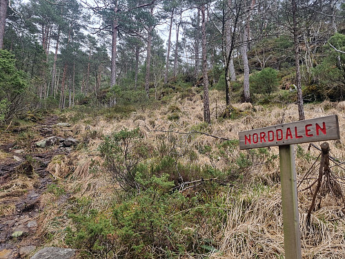 Stien opp til dagsturhytta var litt blaut, men grei å gå