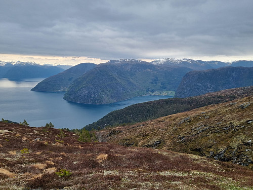 Sognefjorden. 