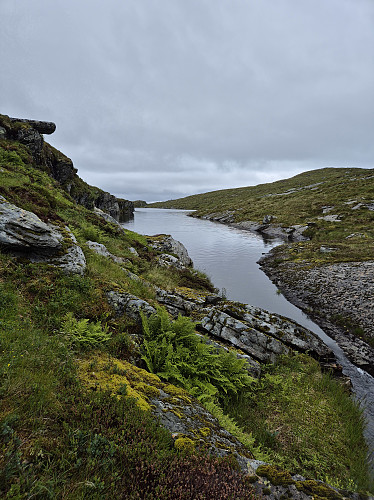 Dyttingsvatnet