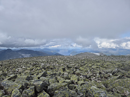 Utsikt frå toppen mot Austefjorden