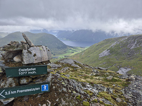 Årdal i Jølster sett frå Dalefjellet