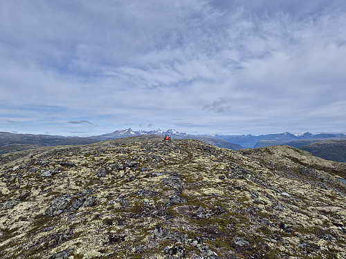 Hurrungane sett frå Gjerdesnosi