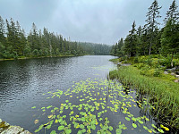 hknappe_20221018_634e45254e4a6.jpg