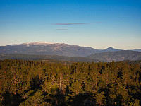 hknappe_20221018_634ef4f0b0fab.jpg
