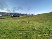 hknappe_20221018_634efcbbb3eee.jpg
