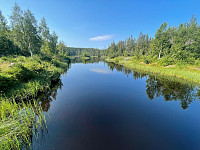 hknappe_20221019_634faaeb99993.jpg