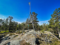 Røysa
