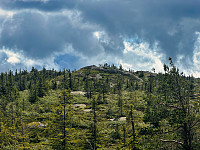 Evjuseterfjellet