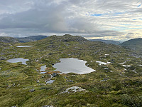 XLwang_20250820_68a642fcba14c.jpg
