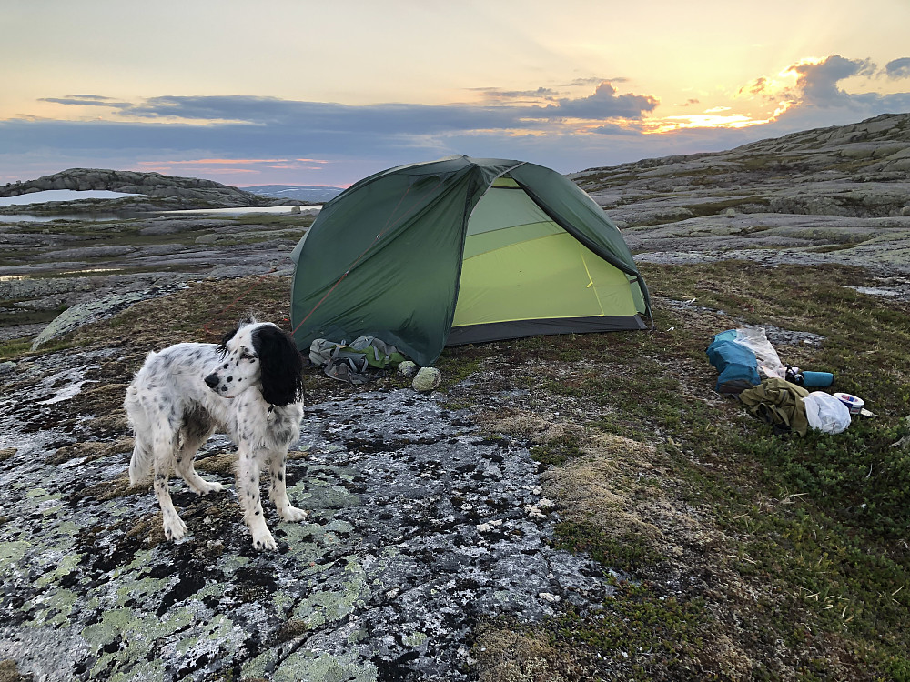 Teltet ved Lindsetvatnet