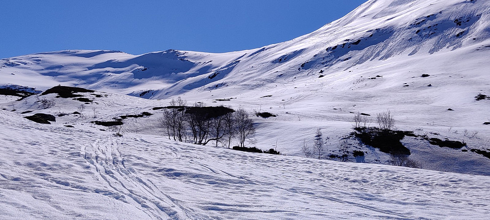 Brattflanken opp fra Vanndalsvatnet. Fulgte sporene midt i bildet, fra venstre nederst, så høyre ved draget, for så traversering til venstre. Hang godt med snø over hodet lengst til høyre der man ser fronten av et lite ras. Tror dette er normalruta? Ved ustabil snø er det nok tryggere å følge draget litt til venstre for midten i bildet