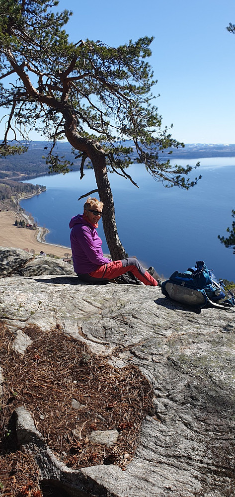 Høkleberget