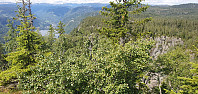 OddArne_20230723_64bd4e7748428.jpg