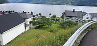 OddArne_20230723_64bd4e78ce7c6.jpg