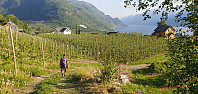 OddArne_20240524_6650cff474382.jpg