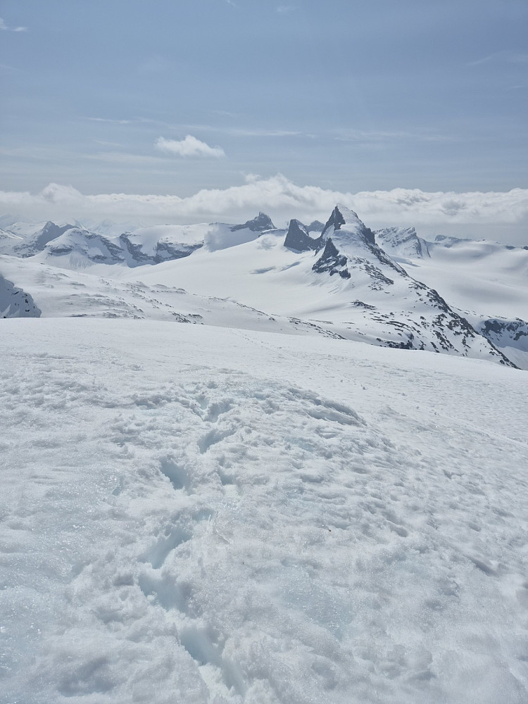 Fra Veslebreatind mot toppene rundt Leirbreen