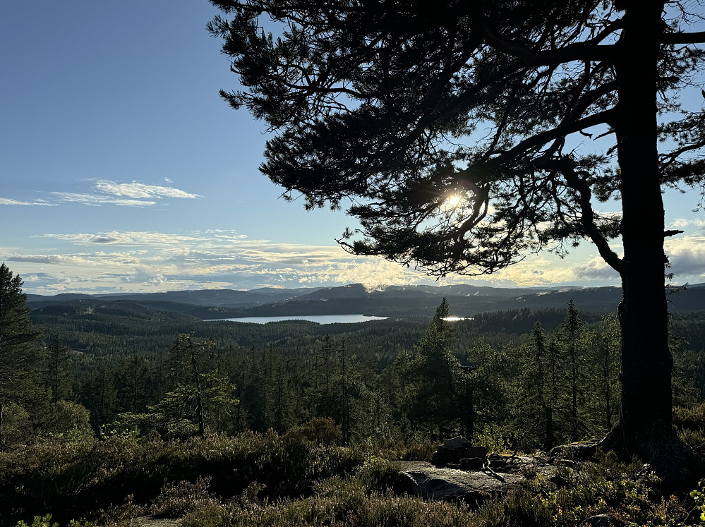 Utsikt Glotjernskollen