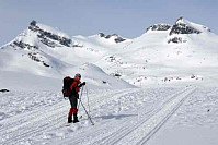 elisabethsorvoll_20250308_67cc538755828.jpg
