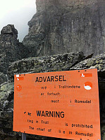elisabethsorvoll_20250310_67cf6282465c7.jpg