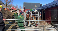elisabethsorvoll_20250312_67d0c3d636350.jpg