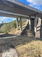 elisabethsorvoll_20250329_67e7f26a24c4a.jpg