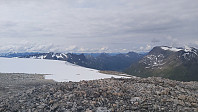 terje_20230702_64a12a7c443bf.jpg