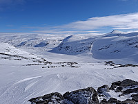 terje_20250406_67f288854b85c.jpg