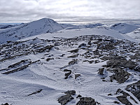 terje_20250406_67f28885c1c4f.jpg